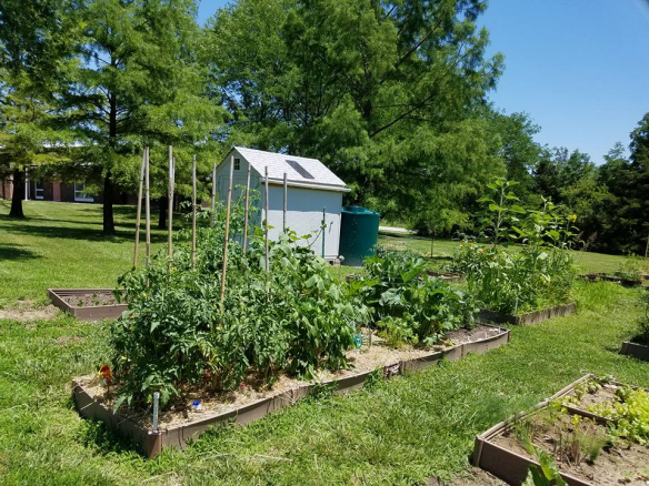 photo of D.H. Crum garden