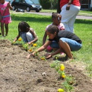 kids plant marigolds at Circus-Lyons garden