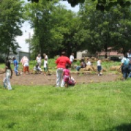 people planting in the freshly tilled Circus-Lyons garden