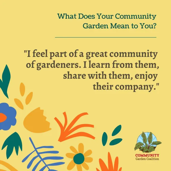 What does your community garden mean to you? "I feel part of a great community of gardeners. I learn from them, enjoy their company."